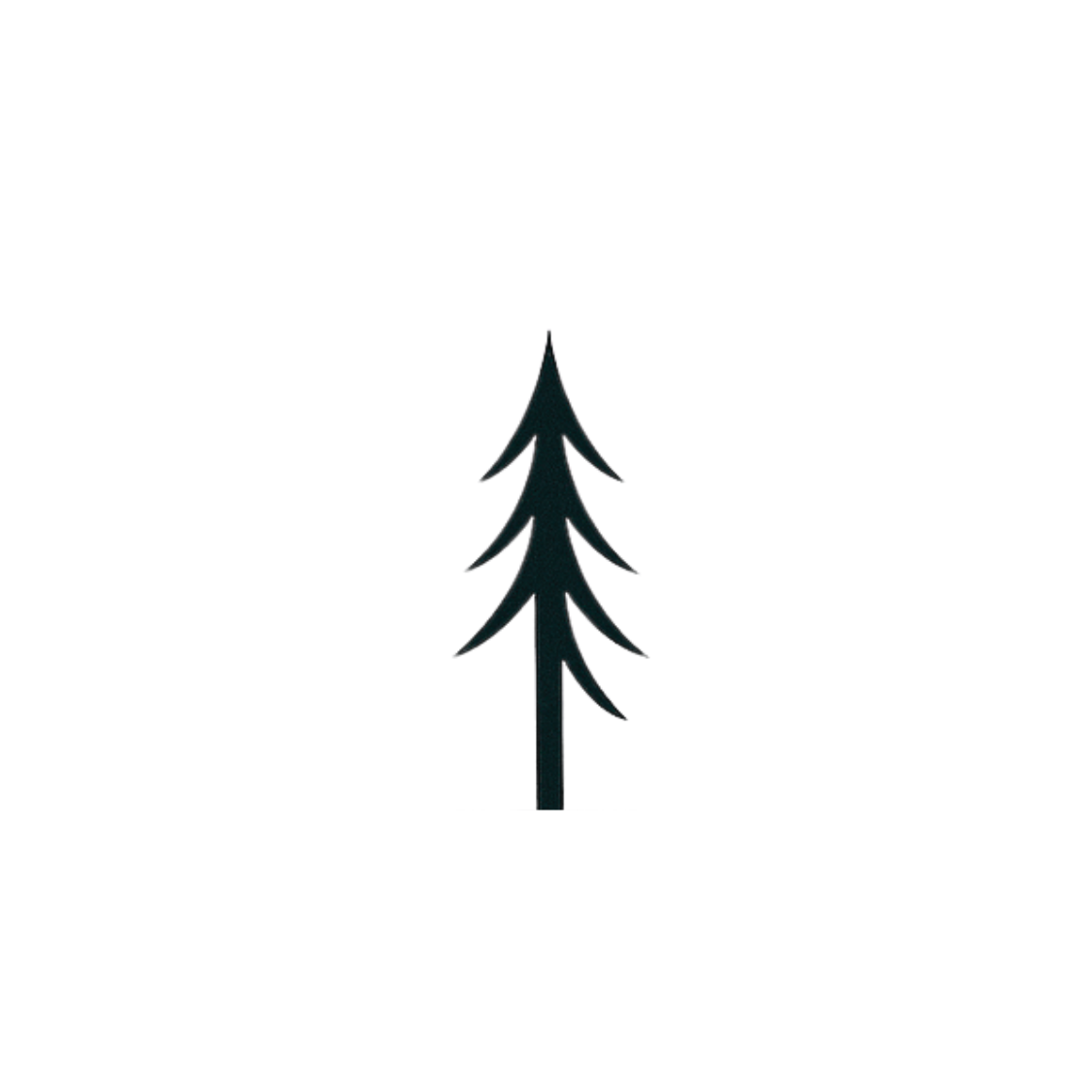The View — Tree