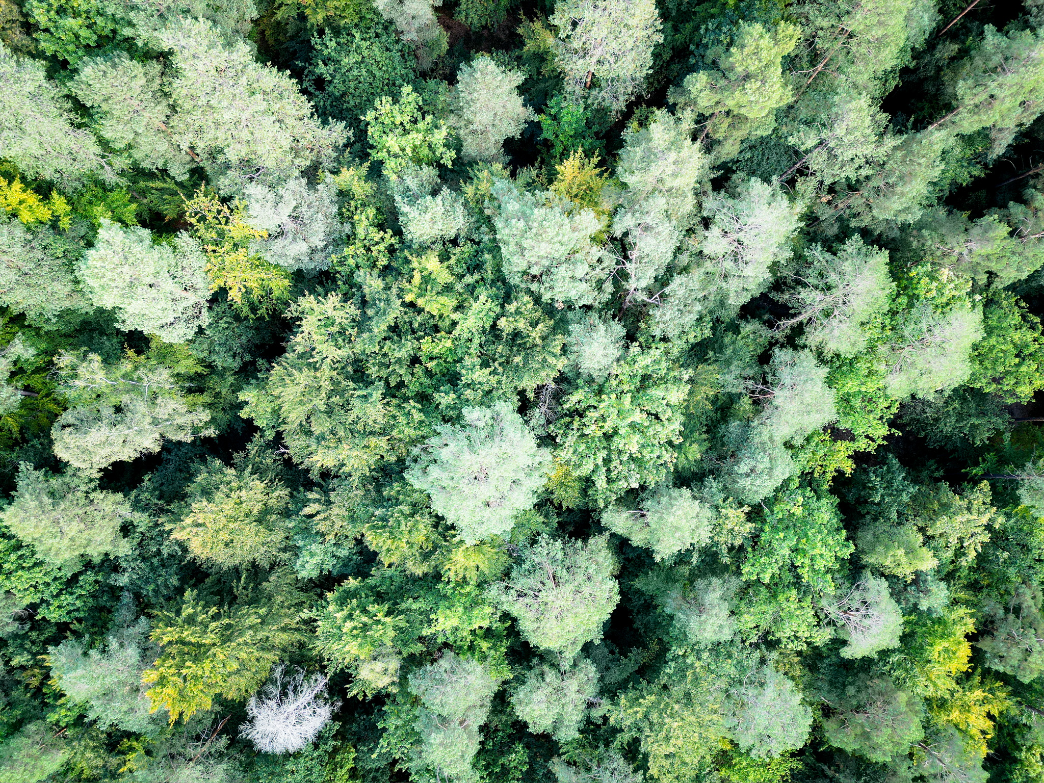 Aerial view of The View