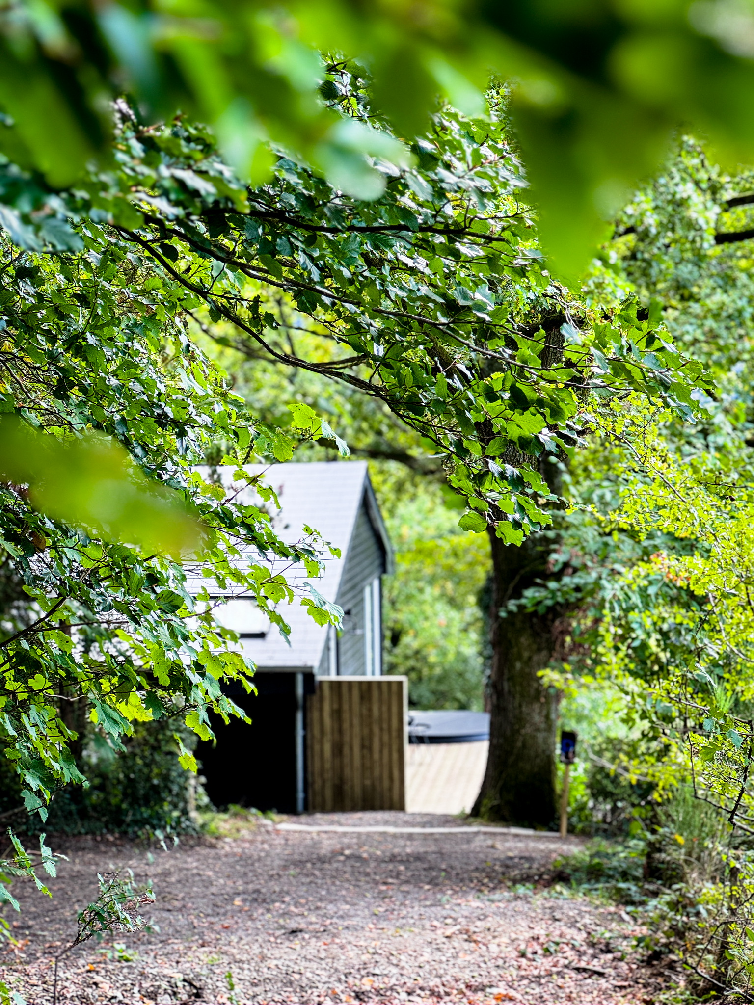 Entrance path